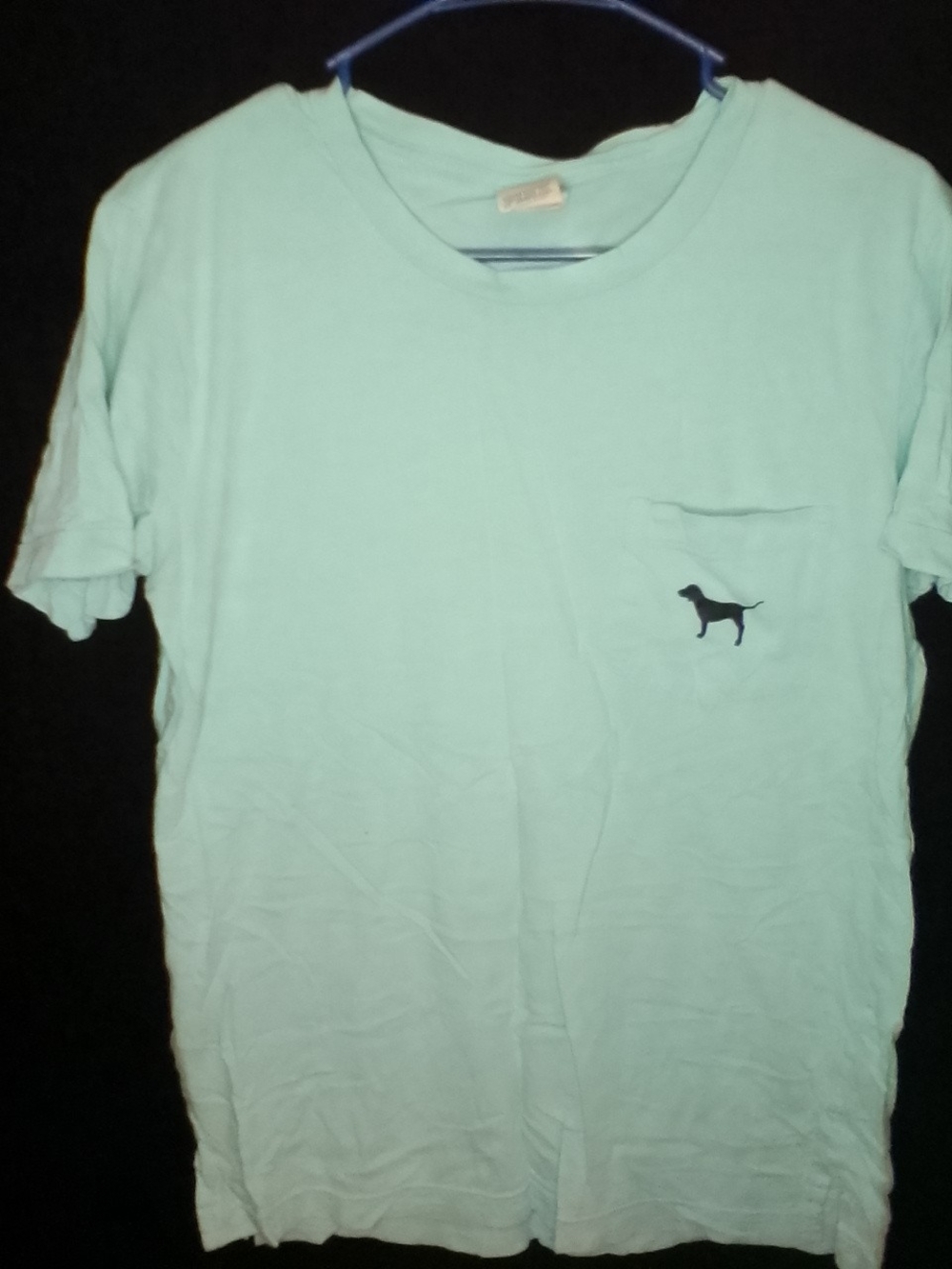 PINK Victoria's Secret Light Mint Pocket Tee with Dog Logo Pink Nation Small